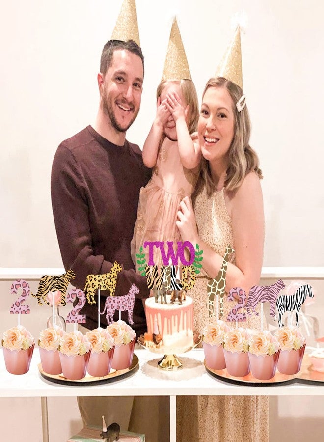Funmemoir Two Wild Birthday Decorations for Girl - Two Wild Cake Topper, Animal Print Cupcake Toppers, 31 Pcs Jungle Safari Animal 2nd Birthday Party Cake Decorations - Image 4